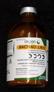 bactracillin g penicllin injectable @ sunsetfeed.com
