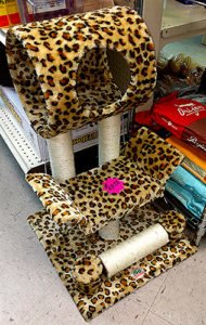 mini-cat-tree-sunset-feed-miami