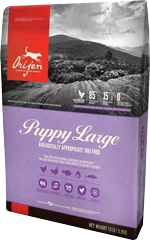 orijen-puppy-large-biologically-appropriate-dog-food-at-sunset-feed-miami