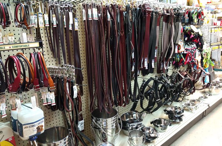 Leather Dog Collars, Leashes & Harnesses