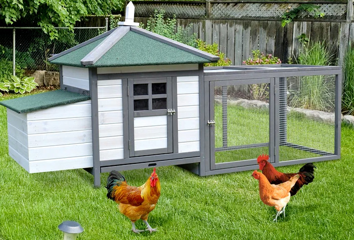 summer-cabin-chicken-coop-with-pen @ sunset feed miami