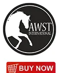 AWST Intl button